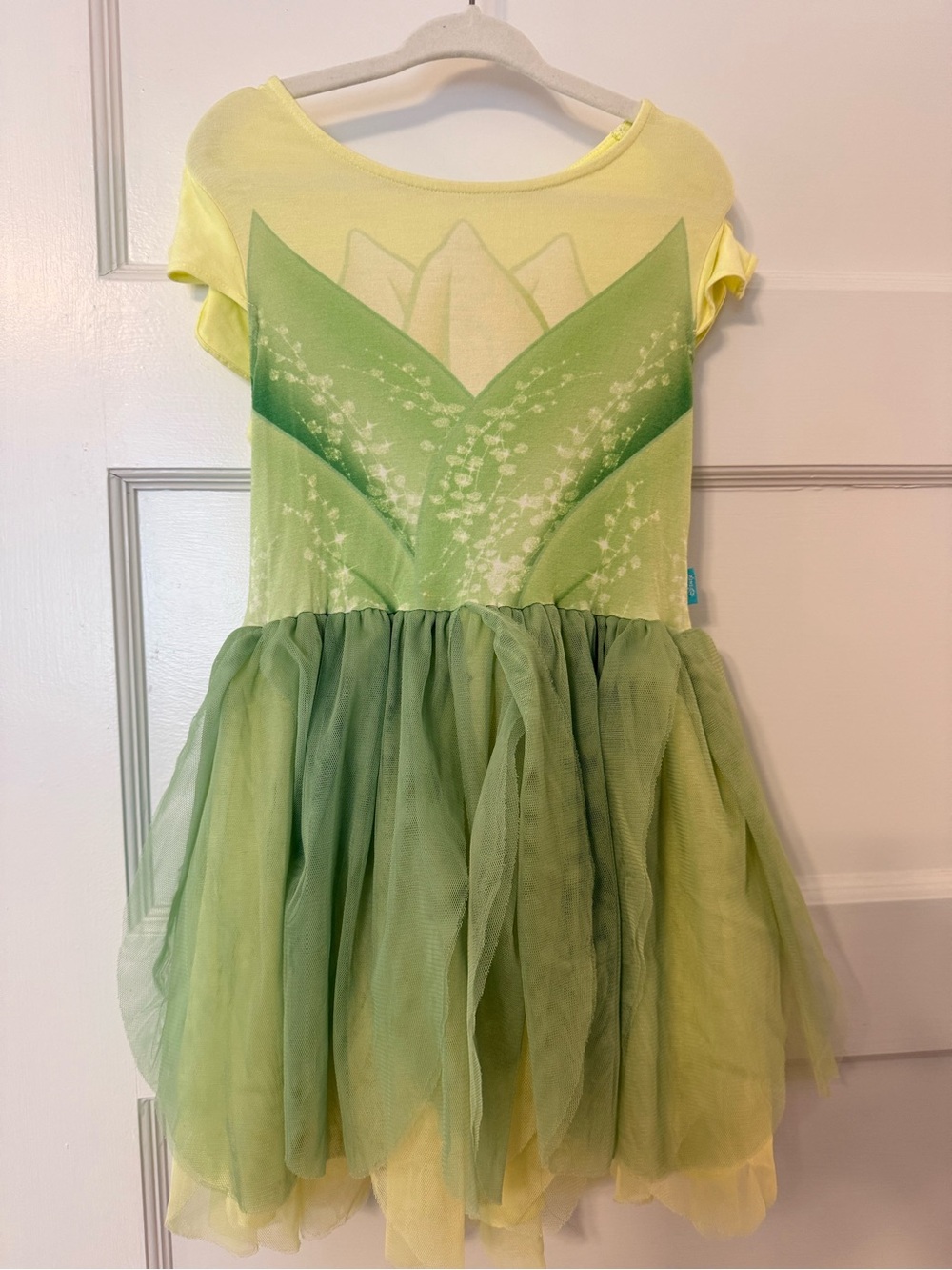 Posh Peanut Tiana Tulle Dress- NWOT- size 5/6